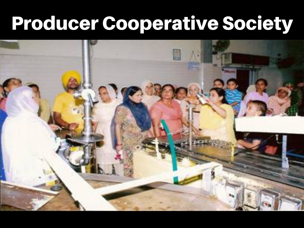 Cooperative Society