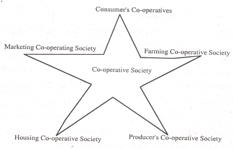 Cooperative Society